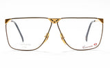 [vintage sunglasses] - BlinkVintage
