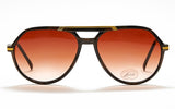 [vintage sunglasses] - BlinkVintage